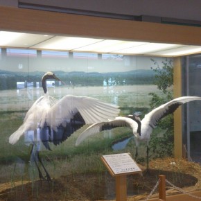 釧路空港到着ロビーArrival lobby at Kushiro Airport