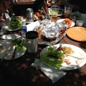 BBQ at Hinohara Village in Tokyo.