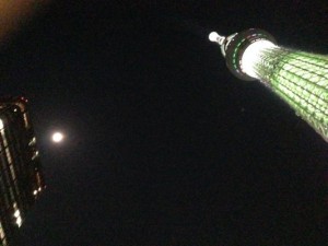 SkyTree025